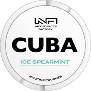 UBBS Watermelon Regular