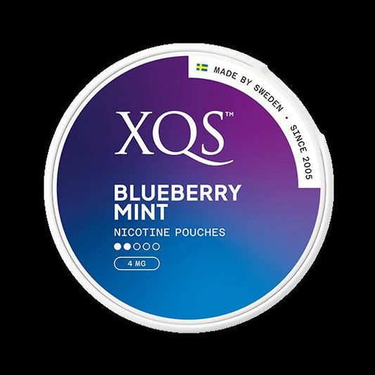 XQS Blueberry Mint Light 4mg