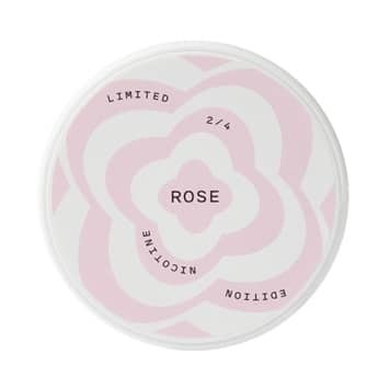 Helwit Rose Limited Edition
