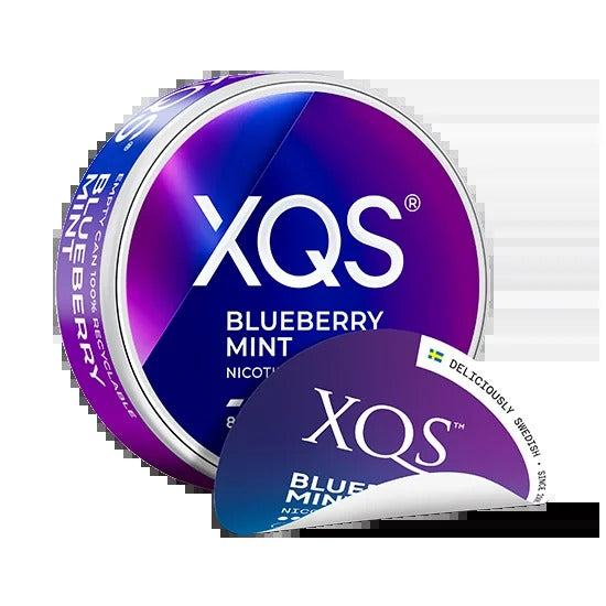 XQS Blueberry Mint - 8mg